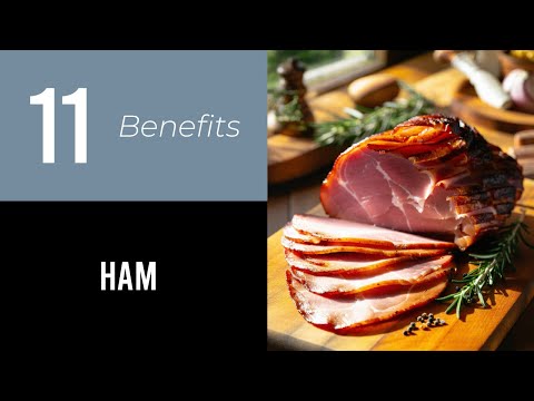 11 Wonders of Ham