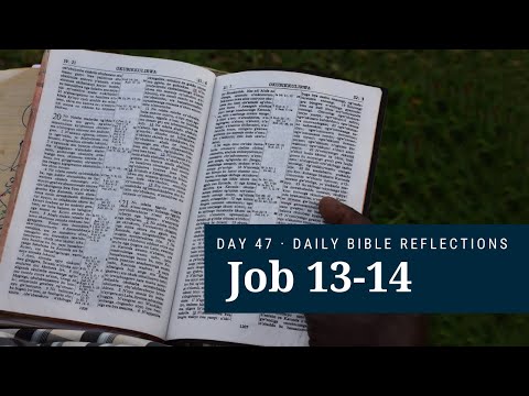 DAY 47 | Job 13-14 | The Bible in a Year