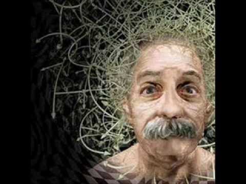 el acertijo de rasta einstein