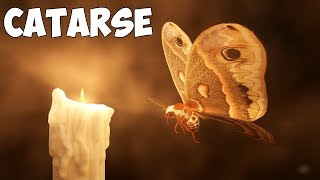 CATARSE: EVOLUÇÃO ATRAVÉS do SOFRIMENTO