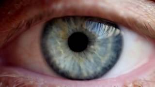 Vimeo Experience - Matty Brown | Vimeo