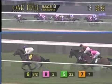 The 41st Running of The Oak Tree Derby (Gll)