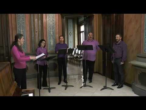 Vasile Spătărelu - Floare albastră