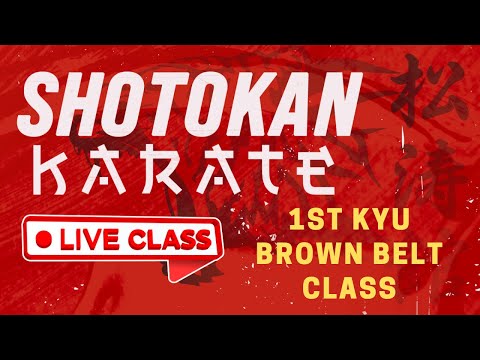GMAU Shotokan Karate LIVE |  1st Kyu Brown Belt Class thumbnail