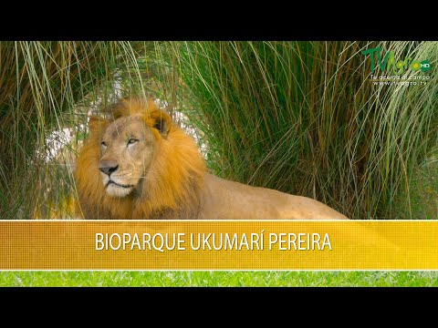 Biopark Ukumari Pereira- TvAgro by Juan Gonzalo Angel Restrepo