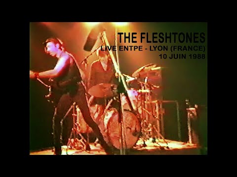 The FLESHTONES Live @ENTPE - Lyon (France) - 10 juin 1988