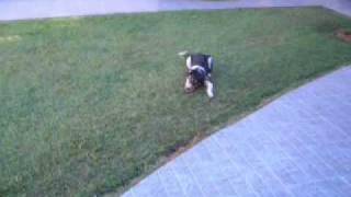 Luna, crime don't pay!