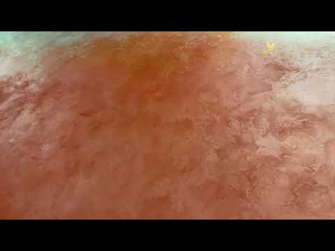 ANTICO VELLUTO - gradient effect with warm/deep red colours - overview