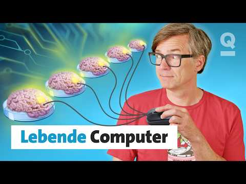 Video Thumbnail: Computer aus echten Hirnzellen: Das ist jetzt schon möglich I Quarks Dimension Ralph