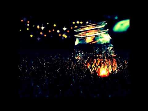 SONIDO de GRILLOS para DORMIR PROFUNDAMENTE y MEDITAR 2 HORAS - Sonidos Relax 💤