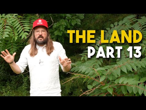 The Land Part 13 | Dusty Slay