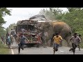 Mass Panic As Elephant Smashes Bus هجوم مفاجئ في الطريق