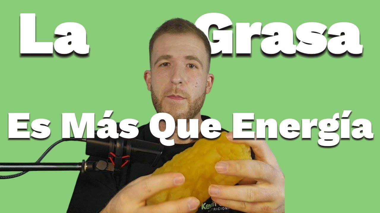 La Grasa: El Órgano endocrino que no sabías que tenías