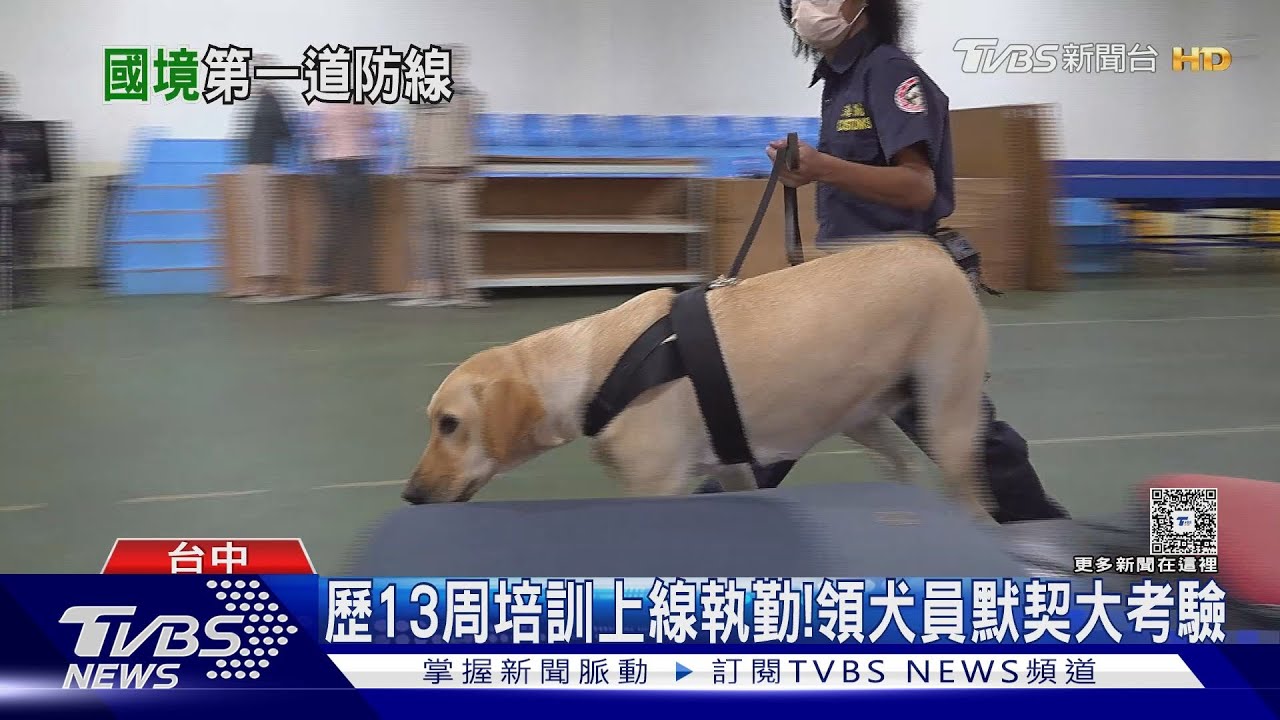 國境第一道防線!緝毒犬邊玩邊抓毒 「這特質」機器無法取代