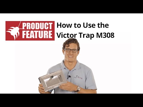 How to Use the Victor Tin Cat Mouse Trap to Catch Mice Video