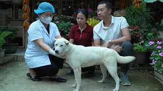 Download lagu Tuan's strange behavior aroused Uri's serious suspicions about both Tuan and his own mother. mp3