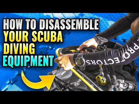 Scuba Diving: How to Disassemble Your Scuba Diving Equipment from the PADI Open Water Course 🤿