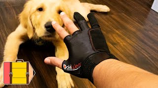 DokiWear Mazo Black V3 SILVERBACK CG Art Glove - Quick Review