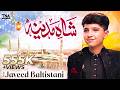 Shah E Madina ﷺ Beautiful Naat 2026 Javeed Baltistani TNA Records