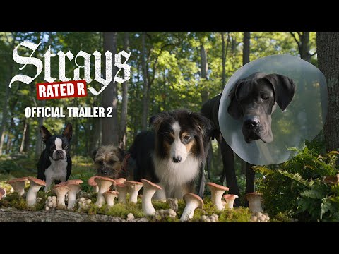 Strays | Official Trailer 2