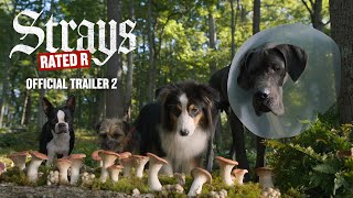 Strays (2023) Video