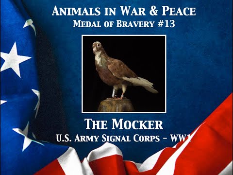 The Mocker - Animals in War & Peace Medal of Bravery #13 (2023)
