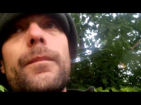 bank holiday fishing aug 2014