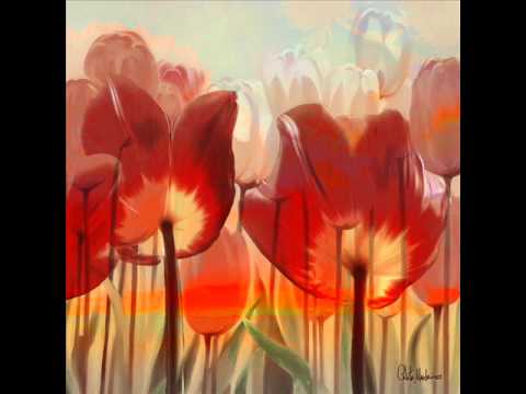 Verdades - Vera Pessoa (3/3)