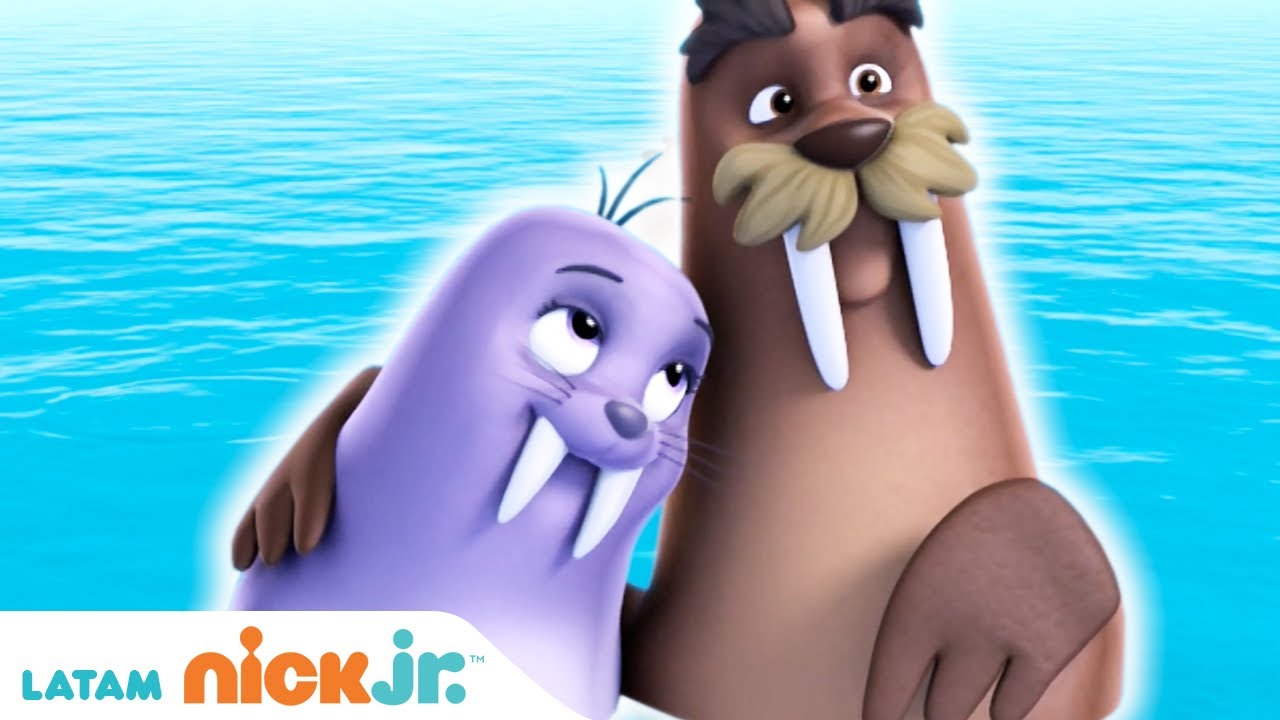 PAW Patrol, patrulla de cachorros | Los Cachorros Salvan a Walinda | Nick Jr. en Español