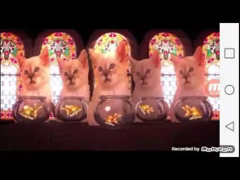 Teroristi tancuju happy crismes