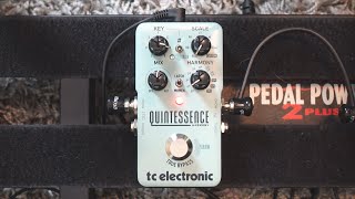 TC Electronic Quintessence Harmonizer - What To Know & Where TC Electronic Quintessence Harmonizer - What To Know & Where
