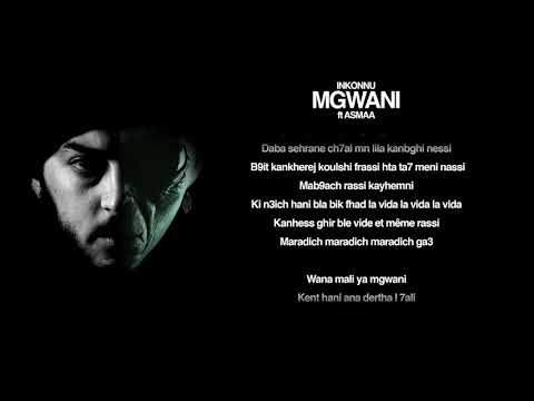 Inkonnu - Mgwani (w/ Asmae) on Spotify Charts