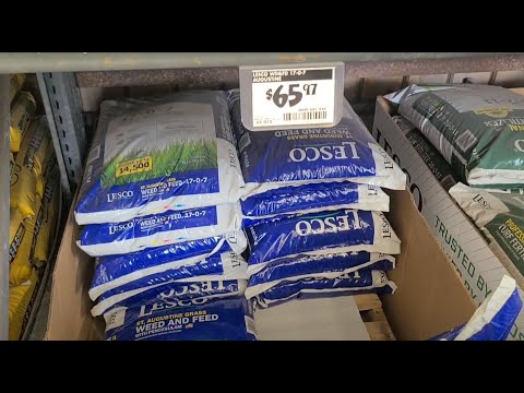 Lowes 0