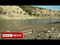 South African town running out of water - BBC News