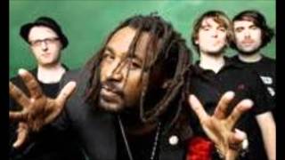 Skindred   Destroy the Dancefloor