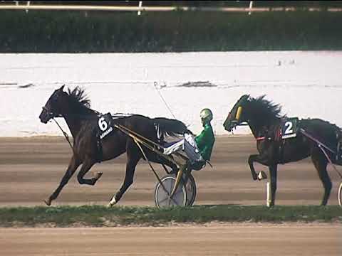 Trotto 12/10/2018 - 3ª corsa