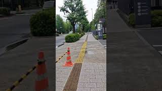 【自民党解体デモ】移民政策反対、永田町駅🚉