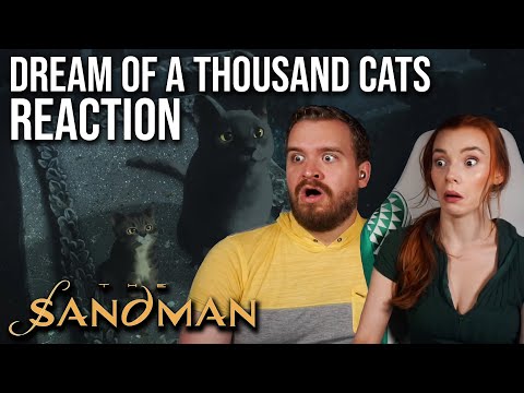 MORE SANDMAN?!? | Episode 11 Reaction Part 1 | Dream Of A Thousand Cats Reaction!