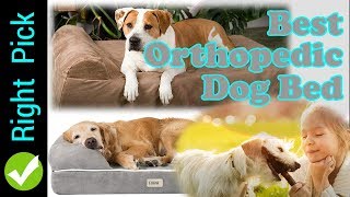 DOG BED : Best Orthopedic Dog Bed