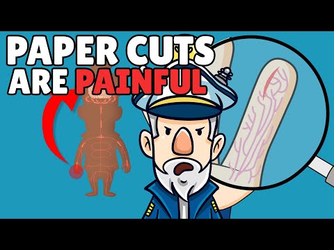 Why Do Paper Cuts Hurt So Much?