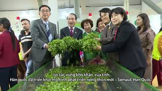 21 11 CLIP XTDT   HAN QUOC CO CHU