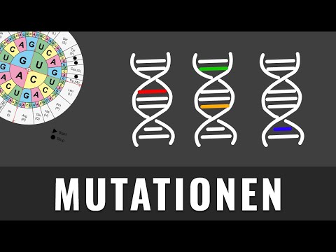 Mutationsarten | Genmutation, Genommutation, Chromosomenmutation | Biologie kurz erklärt