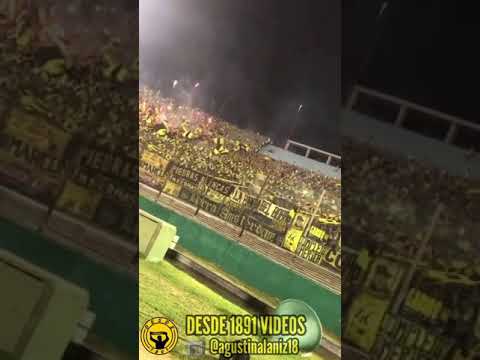 "HINCHADA DE PEÑAROL A NIVEL DE CANCHA ðŸ¤¯" Barra: Barra Amsterdam &bull; Club: Peñarol