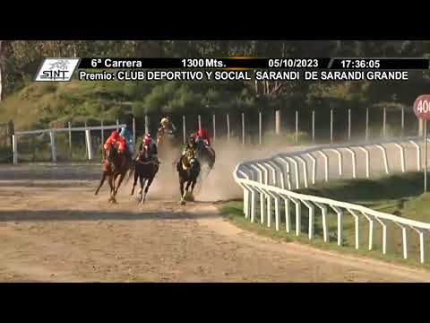 SINT FLORIDA 231005 c06 - 1° GREAT CHAMPION