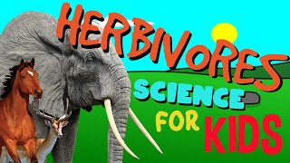 What is a Herbivore | Science for Kids
