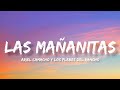 Las Mañanitas - Ariel Camacho Y Los Plebes Del Rancho (Letra/English Lyrics)