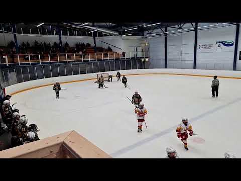 Ilves vihreä - Jokeri