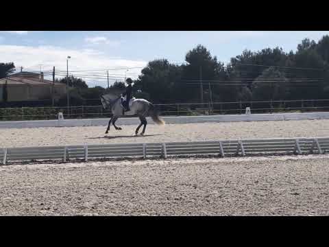 CDN Nicole e Golias CC