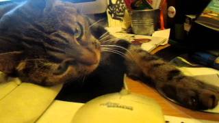 DJ NICE - MIX SHOWBIZ AND AG "Mugshot Music" 2011 -