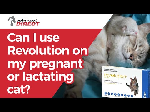 Can I use Revolution on my pregnant or lactating cat?